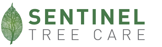 Sentinel Tree Care