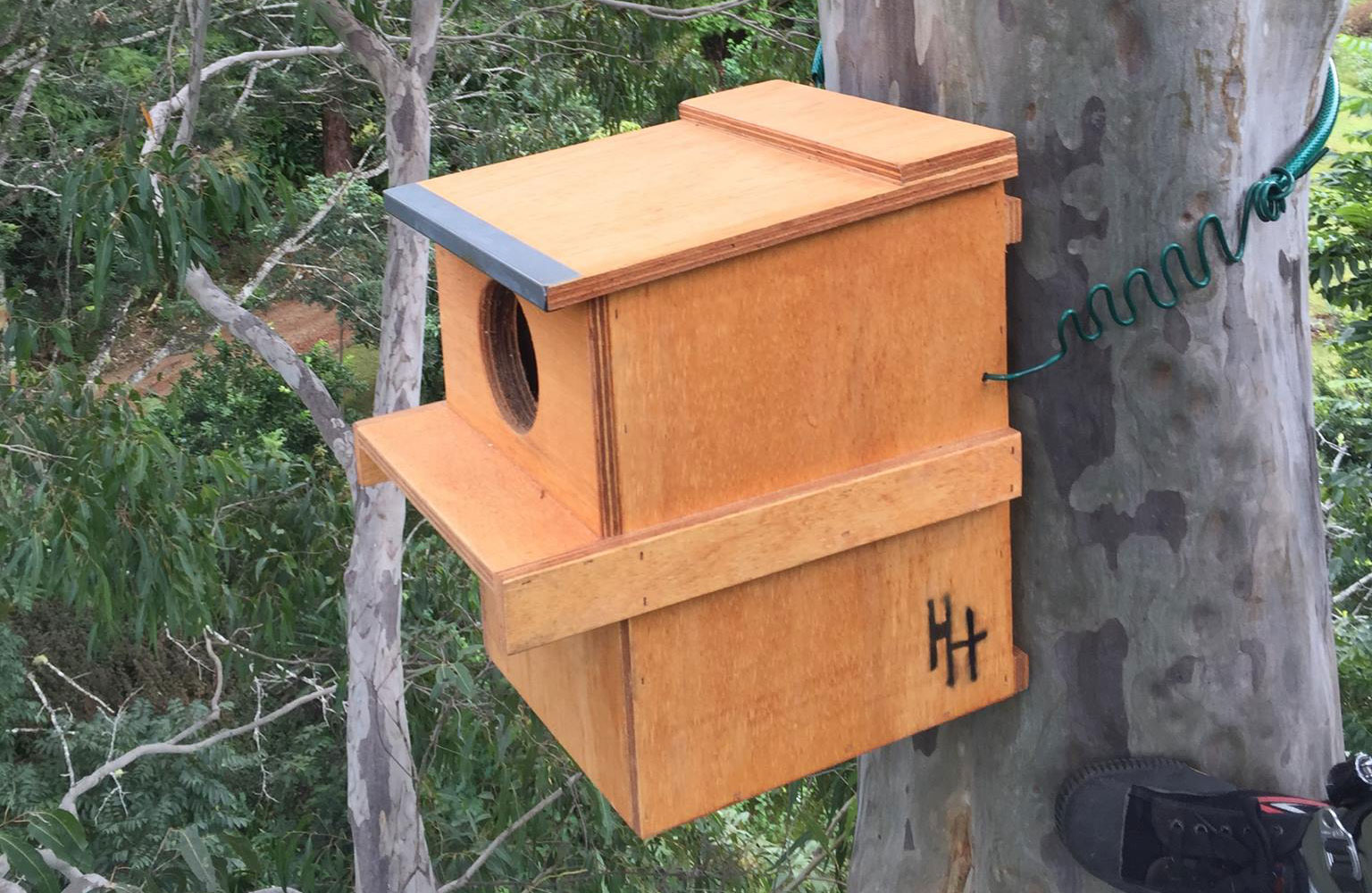 Installing and monitoring Nestboxes with Brunswick Valley Landcare